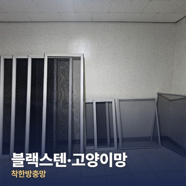 강동구 블랙스텐·고양이망